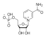 beta-烟酰胺单核苷酸;辅酶NMN;