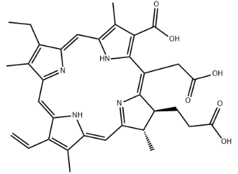 二氢卟吩E6 