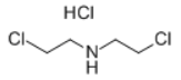 二(2-氯乙基)胺盐酸盐  